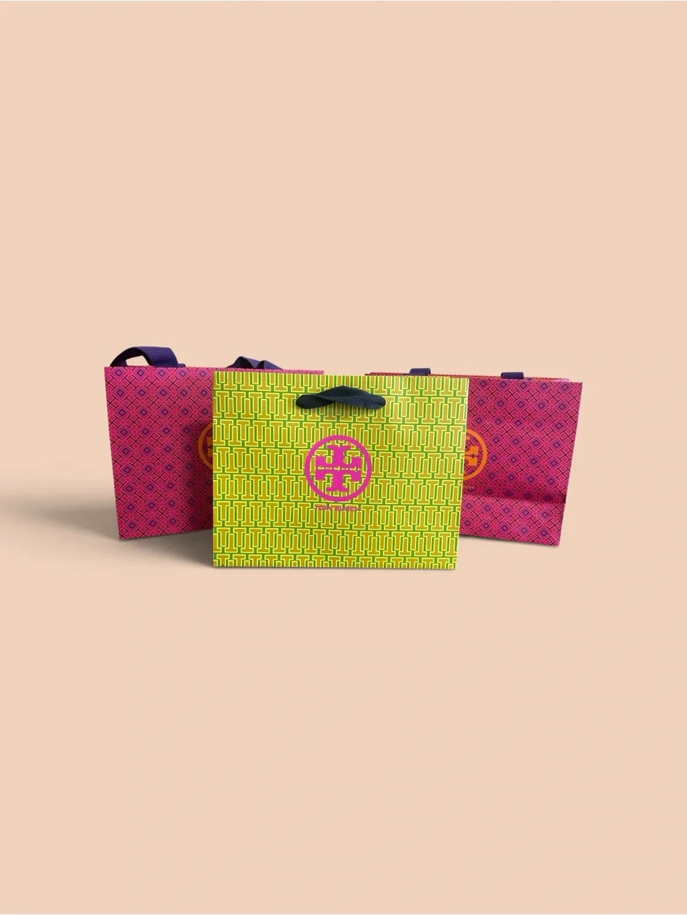 Vibrant Tory Burch Tote Shopping Bags Set with Logo
